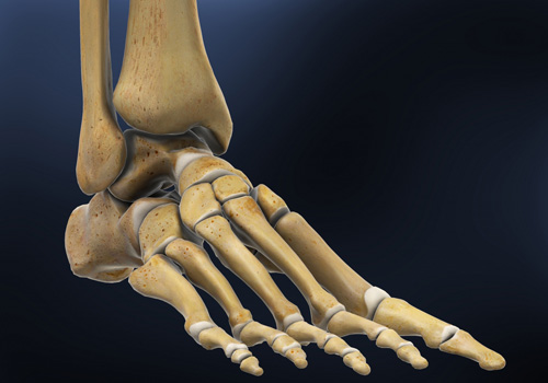 Foot & Ankle